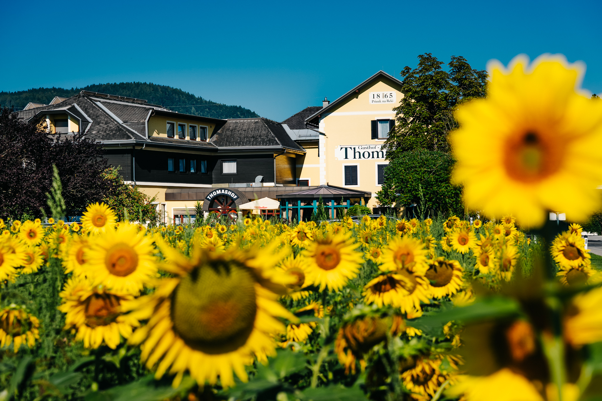 Gasthof Pension Kärnten Thomashof