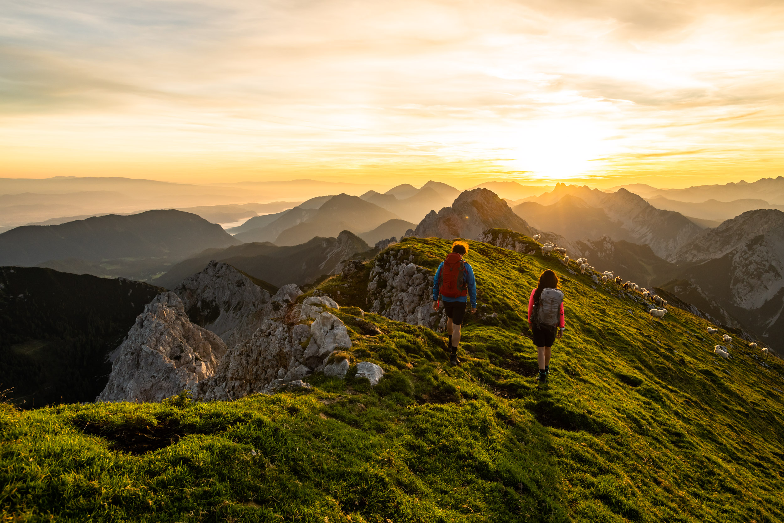 Wandern in Kärnten rund um der Thomashof